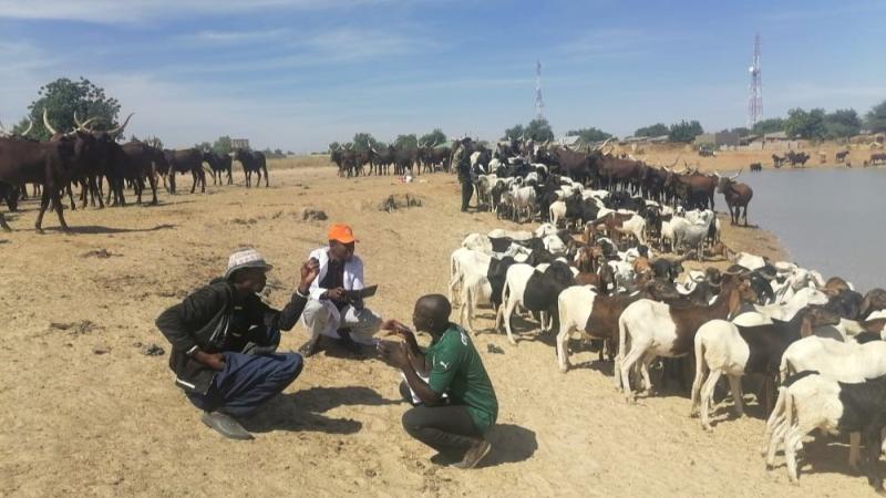 NVRI team testing the app in Nigeria