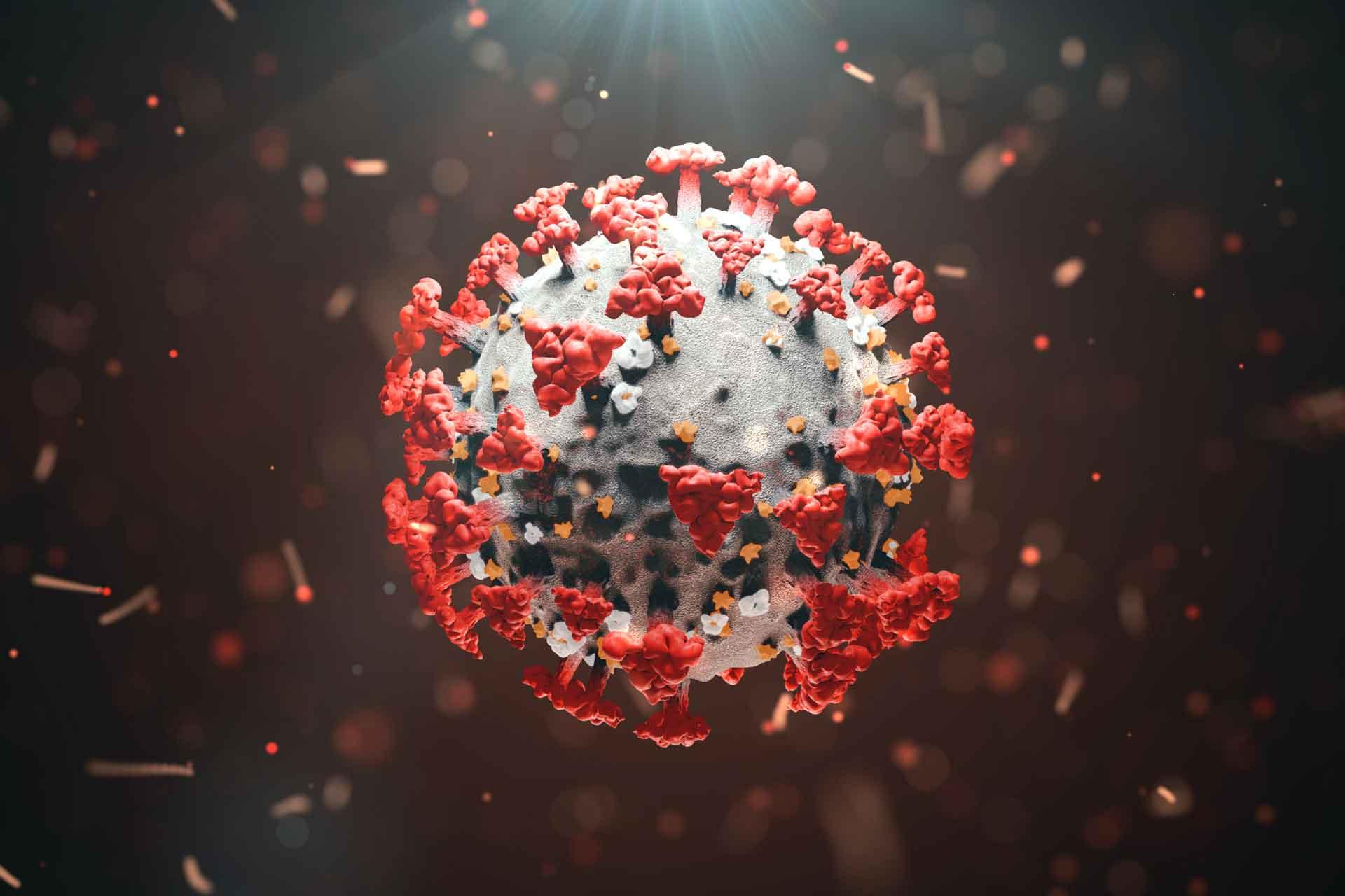 graphic representation of the coronavirus