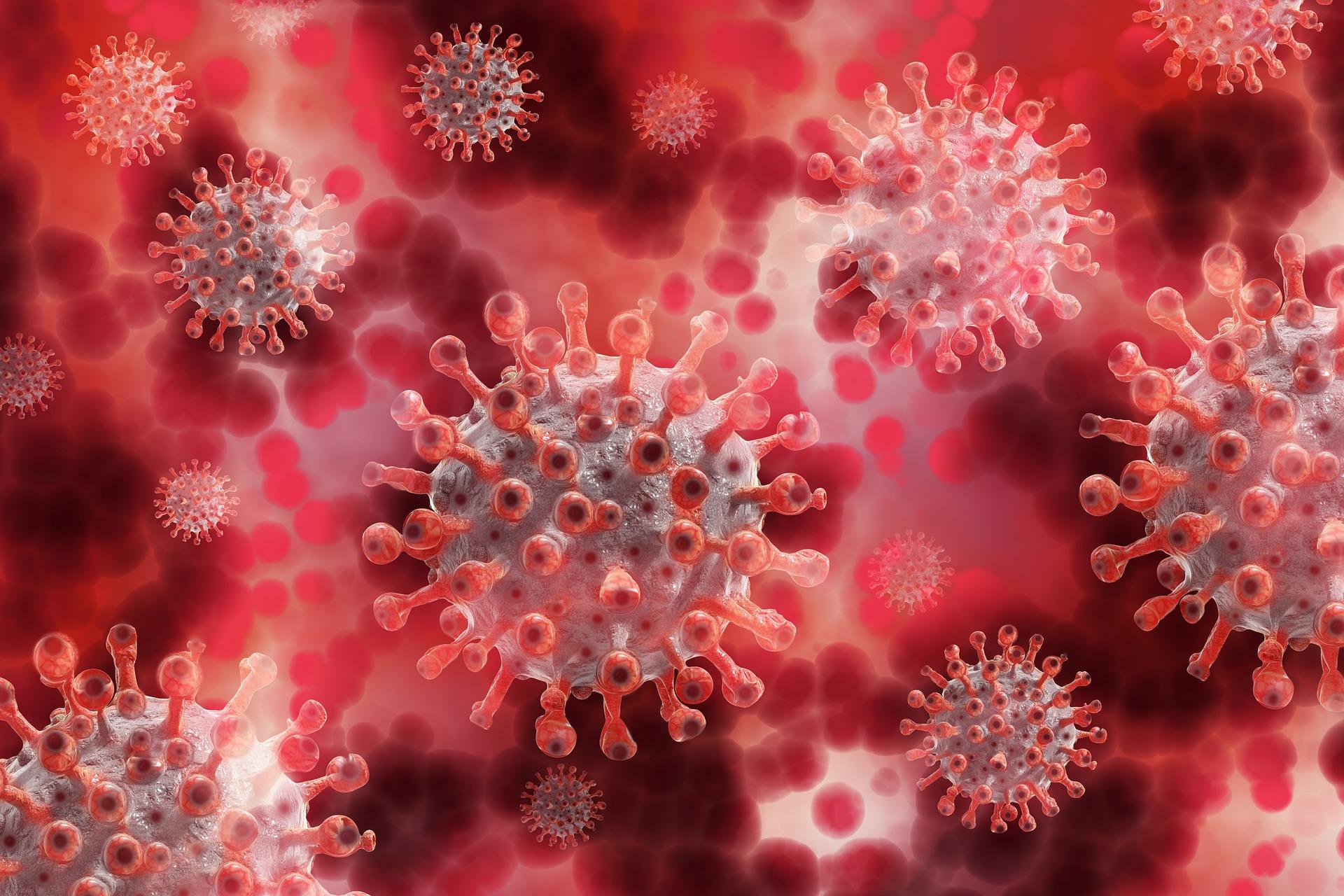 Coronavirus particle illustrated in red
